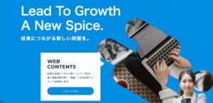 UPSPICE_HPTOP