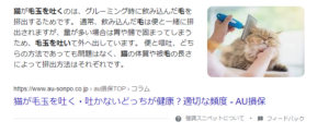 強調スニペット